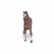 Papo Anglo-Arab Mare #4