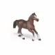 Papo Anglo-Arab Mare #5
