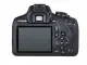 Canon EOS 2000D + EF-S 18-55 IS II + EF 50mm #8