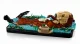LEGO Ideas 21366 #7