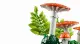 LEGO Botanicals Waldpilze #7