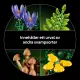 LEGO Botanicals Waldpilze #8