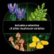 LEGO Botanicals Waldpilze #16