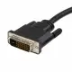 StarTech.com DP2DVIMM10 #2