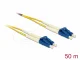DeLOCK 80159
