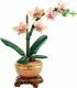 LEGO Botanicals Mini Orchid #4
