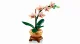 LEGO Botanicals Mini Orchid #8