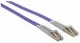 Intellinet 750875 #2