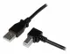 StarTech.com USBAB1MR