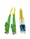 Synergy 21 S215513