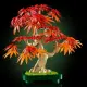 LEGO Botanicals Japanese Red Maple Bonsai Tree #6