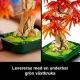 LEGO Botanicals Japanese Red Maple Bonsai Tree #8