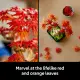 LEGO Botanicals Japanese Red Maple Bonsai Tree #19
