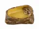 Exo Terra Water Dish - Medium