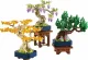 LEGO Botanicals Mini Bonsai Trees #3
