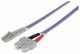Intellinet 750936