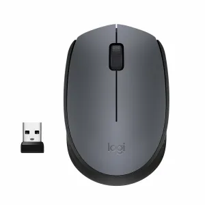 Logitech M170