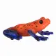 Mojo Fun Poison Dart Tree Frog #2