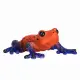 Mojo Fun Poison Dart Tree Frog #3