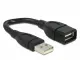 DeLOCK 15cm USB 2.0 #2