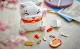 LEGO Iconic Lucky Cat #8