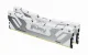 Kingston Technology FURY Renegade #2