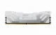 Kingston Technology FURY Renegade #4