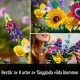 LEGO Botanicals Wildflower Bouquet #4