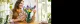 LEGO Botanicals Wildflower Bouquet #5