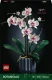 LEGO Botanicals Orchid #1
