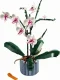 LEGO Botanicals Orchid #3
