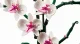 LEGO Botanicals Orchid #5