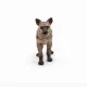 Papo Hyena #3