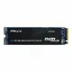 PNY CS1030