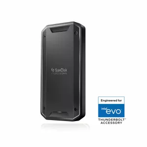 SanDisk SDPS31H-001T-GBC1D