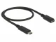 DeLOCK 85532